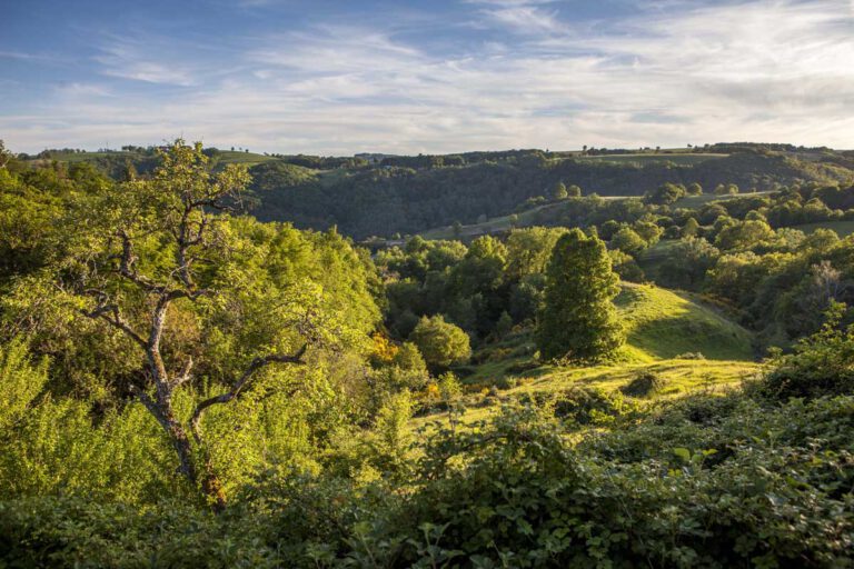 Vue paysage